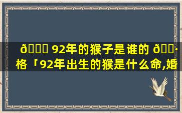 🍀 92年的猴子是谁的 🕷 命格「92年出生的猴是什么命,婚姻怎样」